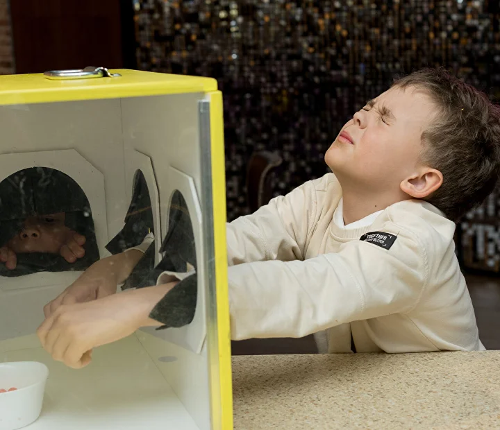 CulinaryOn 1762919258842